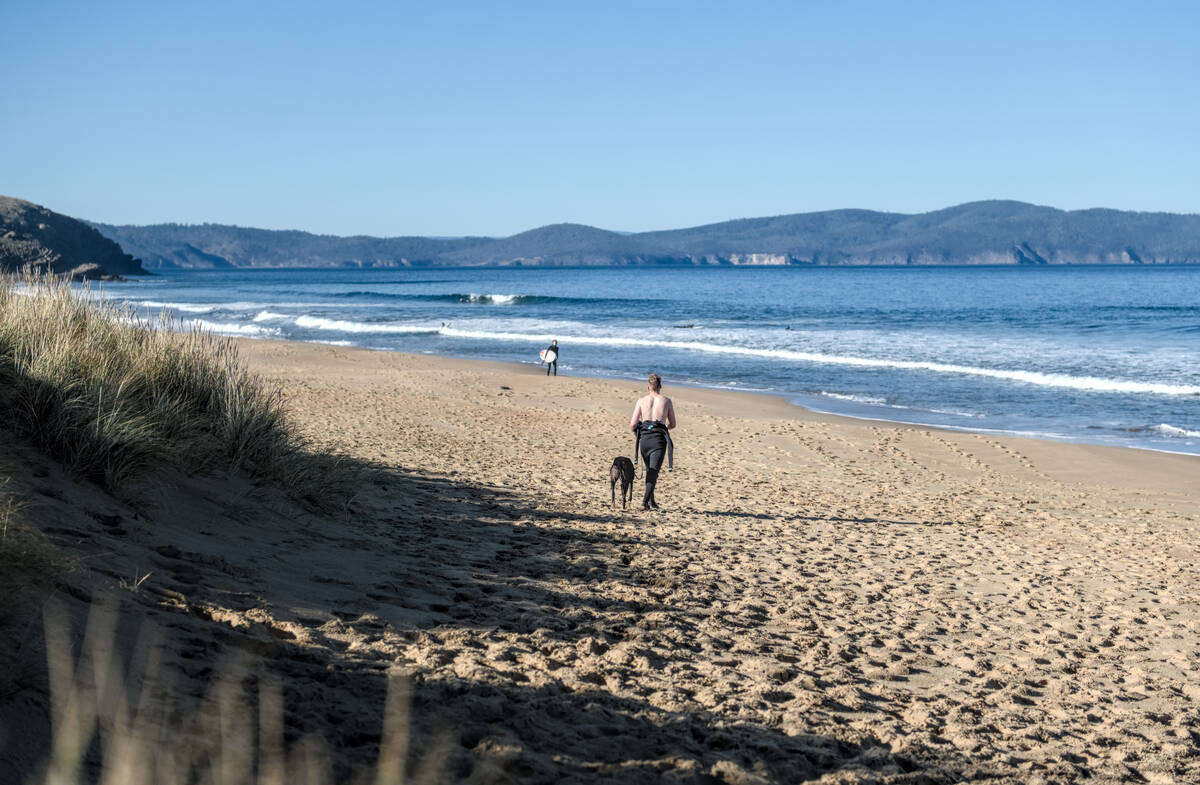 man walking dog on the beach