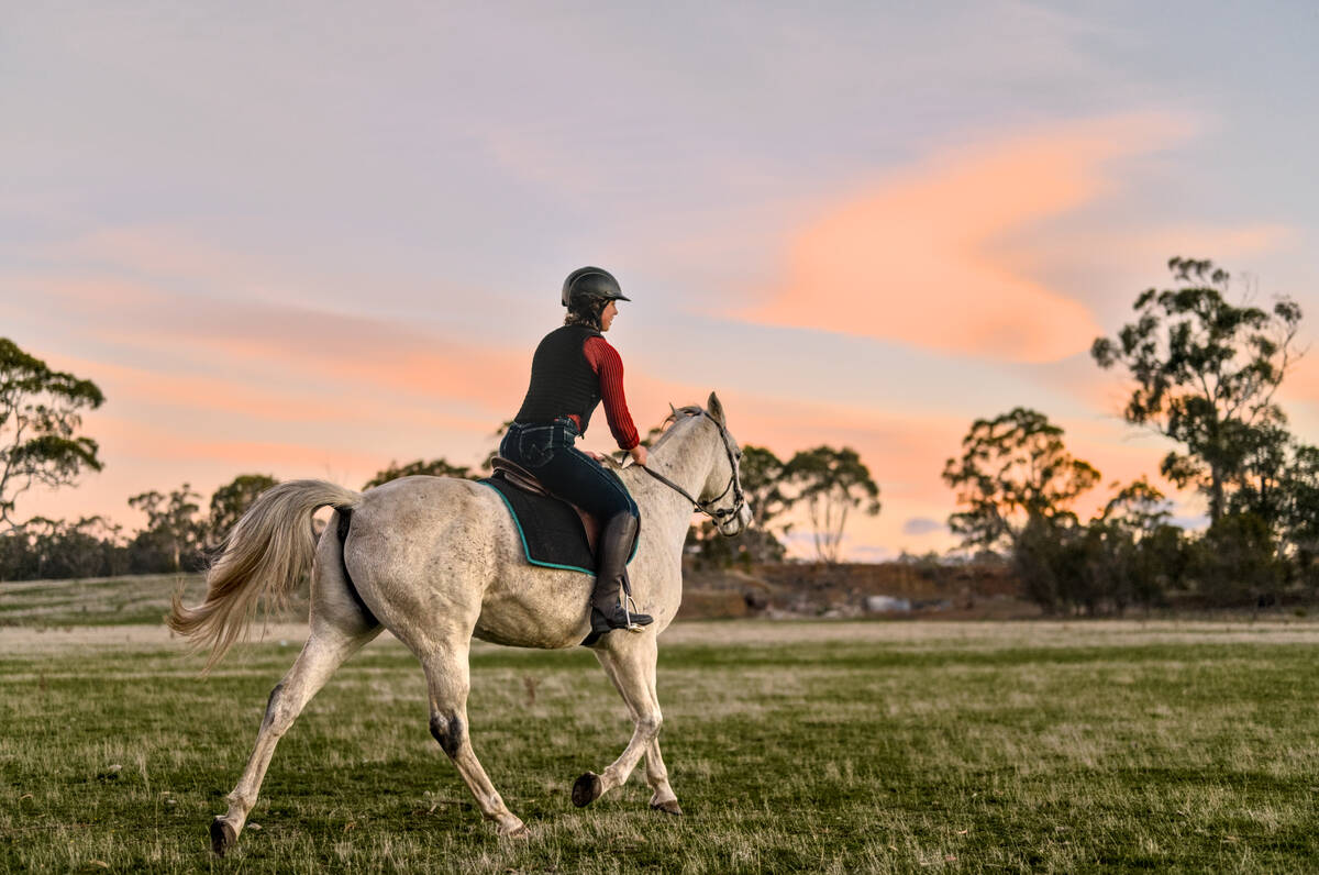 lady riding a horse at sunset